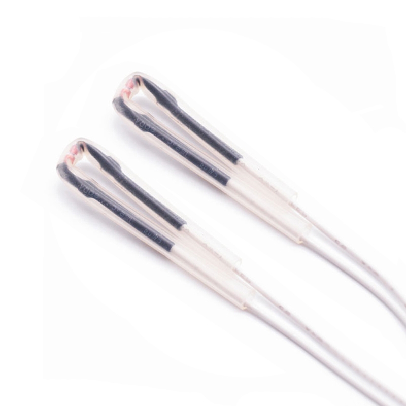 Glass Encapsulated NTC Temaperature Sensor